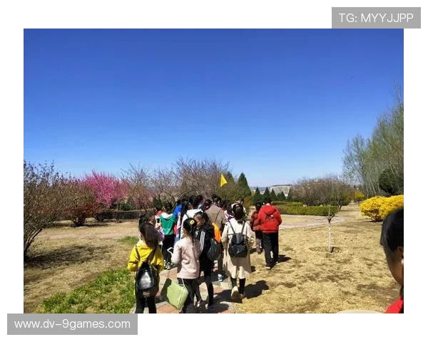 为什么打游戏能带来愉悦感探究 玩乐背后的心理机制与生理反应